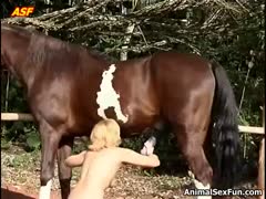 Xxxl beastiality porn blonde chick loves licking and sucking a horse s penis